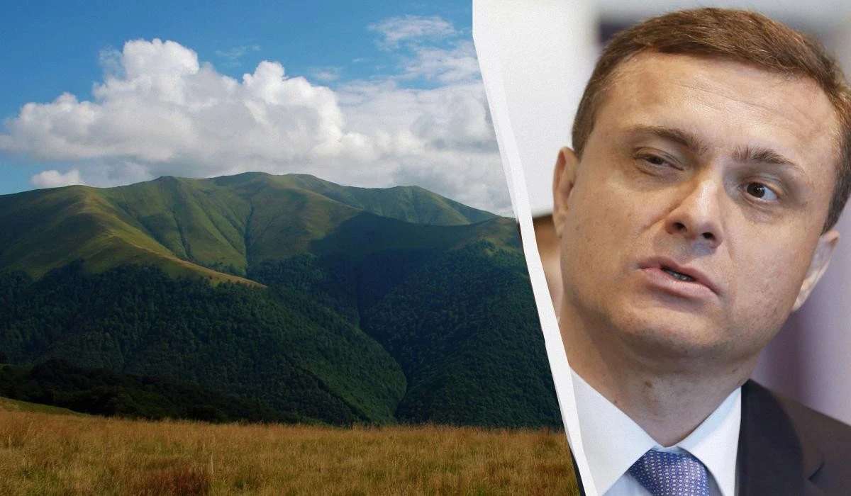460 гектарів Карпат перейшли у власність структур зятя Льовочкіна