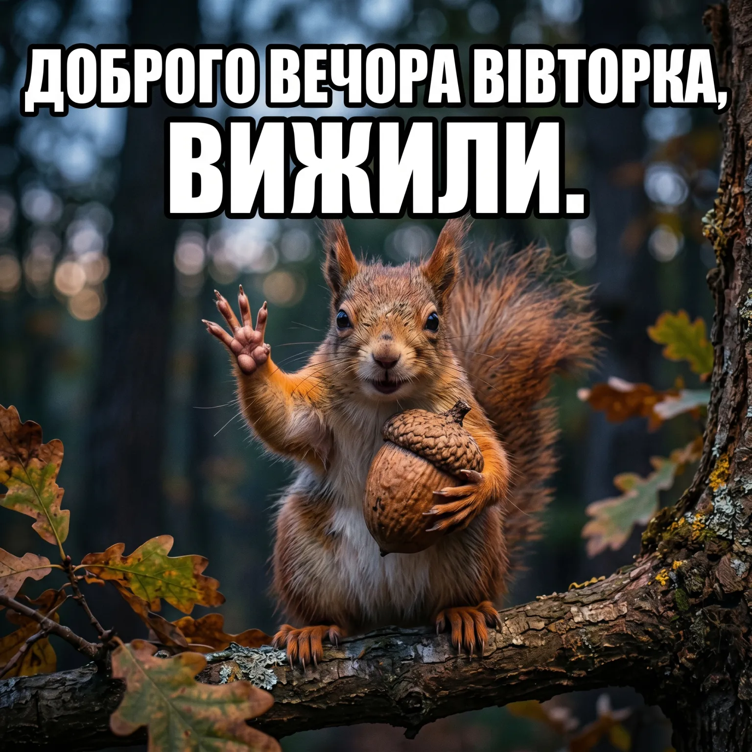 Доброго вечора вівторка: найтепліші побажання та затишні картинки для гарного настрою