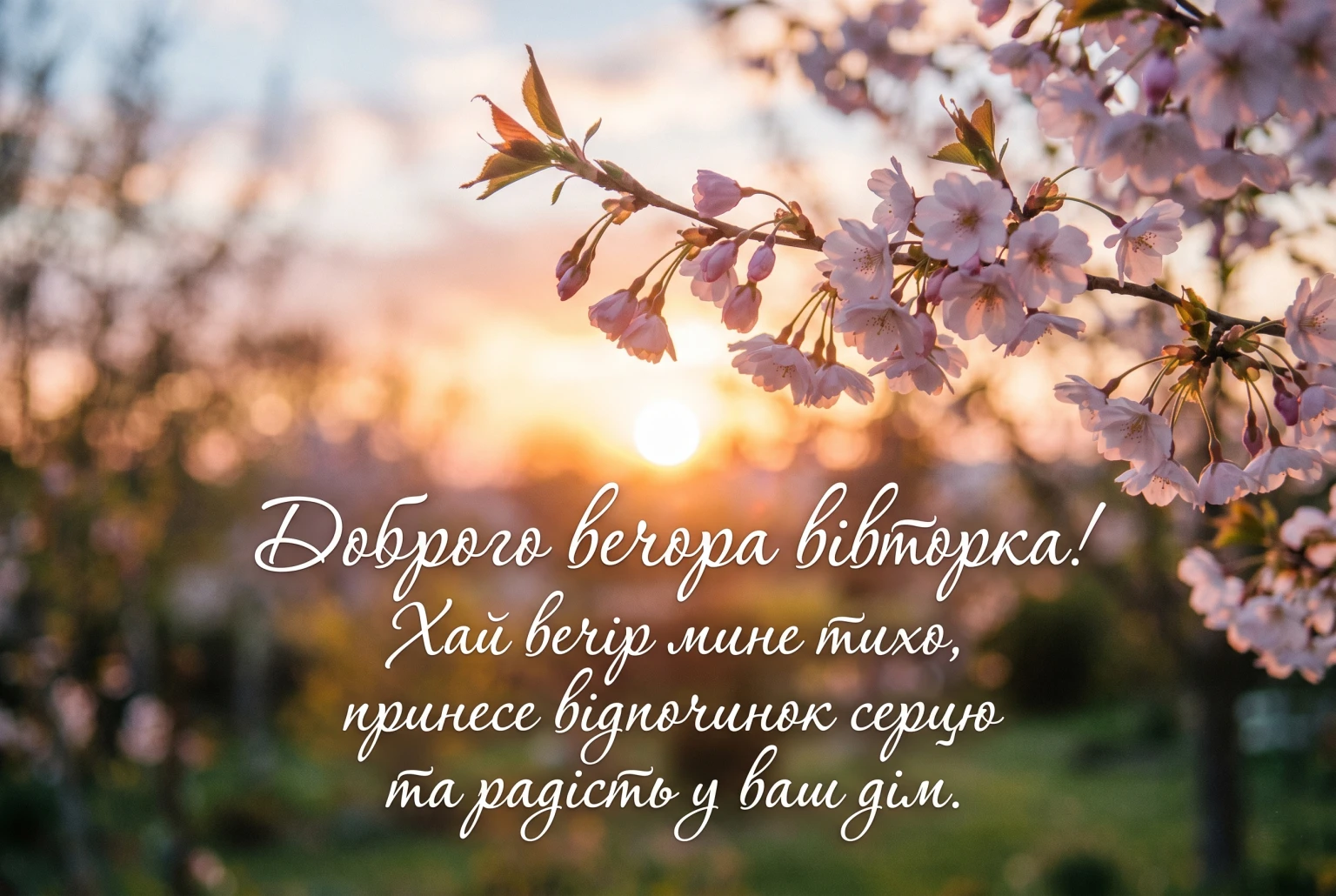 Доброго вечора вівторка: найтепліші побажання та затишні картинки для гарного настрою