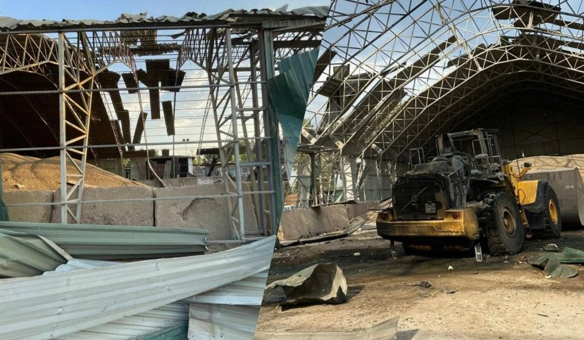 Логістична криза на Чорному морі: як російські удари руйнують аграрний експорт
